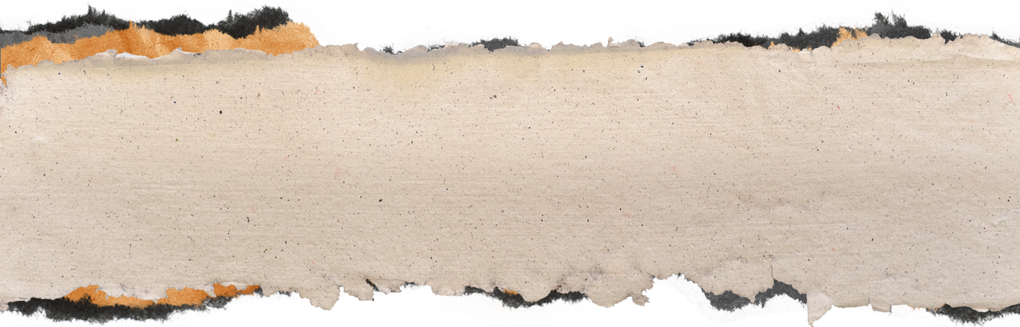 BG Palimpsestes copie